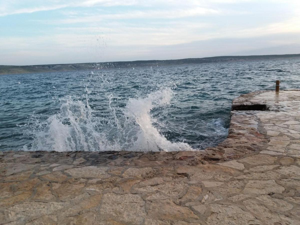 Apartament Bosi I Goli Starigrad Paklenica Zewnętrze zdjęcie