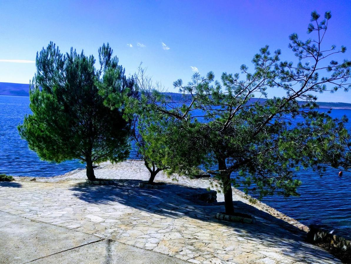 Apartament Bosi I Goli Starigrad Paklenica Zewnętrze zdjęcie
