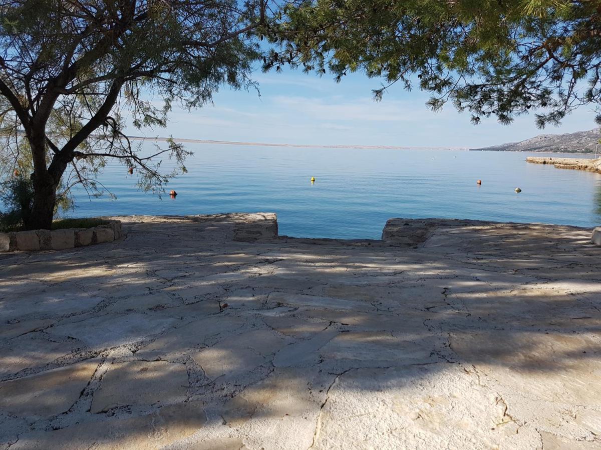 Apartament Bosi I Goli Starigrad Paklenica Zewnętrze zdjęcie