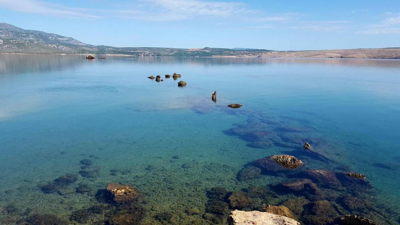 Apartament Bosi I Goli Starigrad Paklenica Zewnętrze zdjęcie